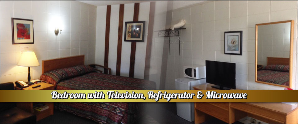 Bedroom with Television, Refrigerator & Microwave
