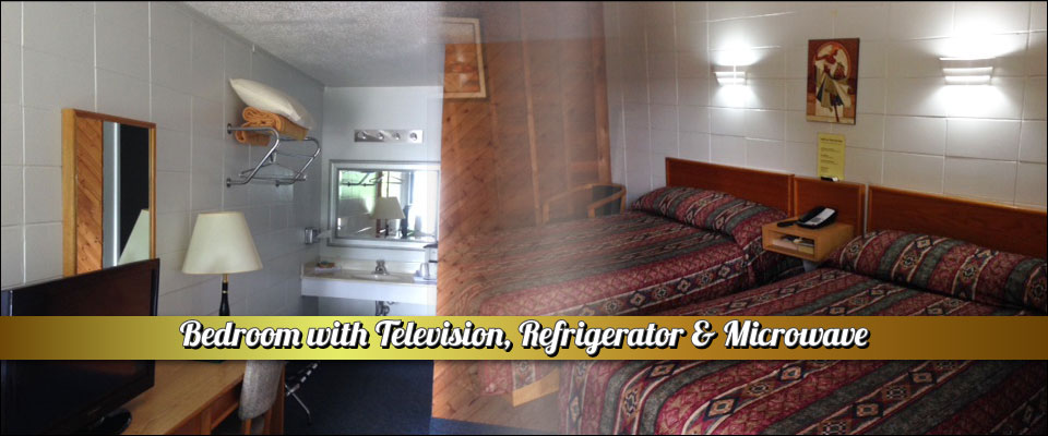 Bedroom with Television, Refrigerator & Microwave