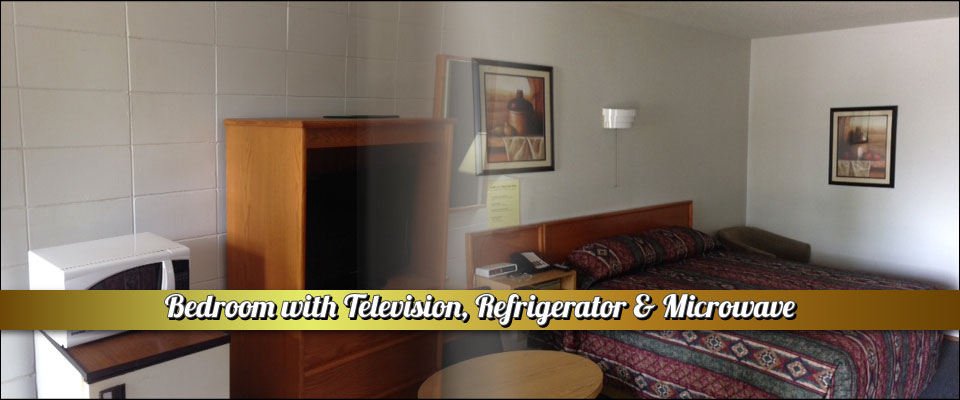 Bedroom with Television, Refrigerator & Microwave